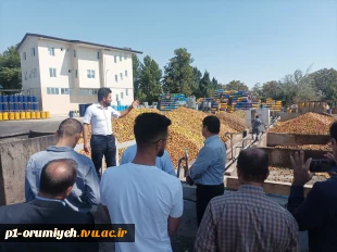 بازدید جمعی از اعضا هیئت علمی و کارکنان دانشگاه فنی و حرفه‌ای استان آذربایجان غربی از کارخانه تاتائو ارومیه 2