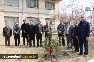 کاشت نهال به مناسبت روز درختکاری در محوطه دانشگاه ملی مهارت واحد استان آذربایجان غربی 2