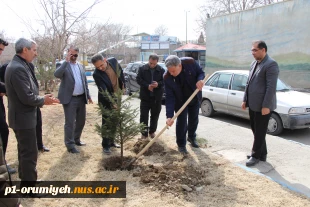 کاشت نهال به مناسبت روز درختکاری در محوطه دانشگاه ملی مهارت واحد استان آذربایجان غربی 4