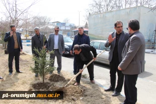 کاشت نهال به مناسبت روز درختکاری در محوطه دانشگاه ملی مهارت واحد استان آذربایجان غربی 5