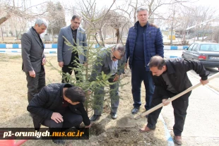 کاشت نهال به مناسبت روز درختکاری در محوطه دانشگاه ملی مهارت واحد استان آذربایجان غربی 7